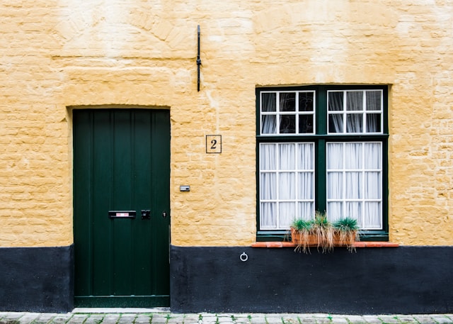 green-plant-near-door